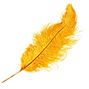 Logo la plume club paris